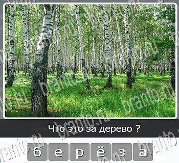 Игры разума ВКонтакте - ответы к игре