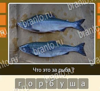 Игры разума ВКонтакте - ответы к игре