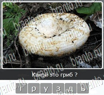 Игры разума ВКонтакте - ответы к игре