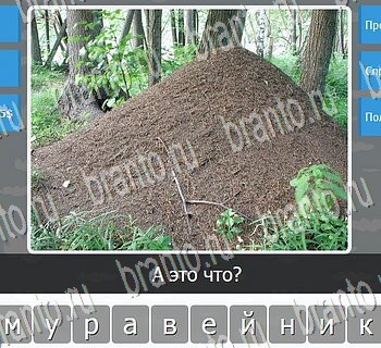 Игры разума ВКонтакте - ответы к игре