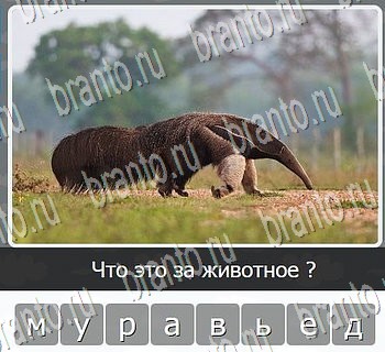 Игры разума ВКонтакте - ответы к игре