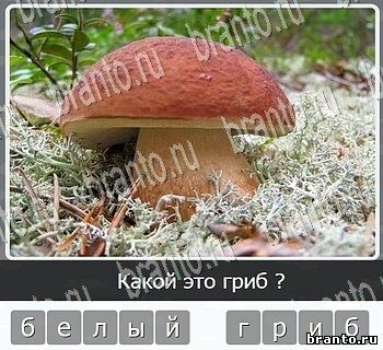 Игры разума ВКонтакте - ответы к игре