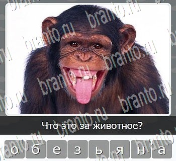 Игры разума ВКонтакте - ответы к игре