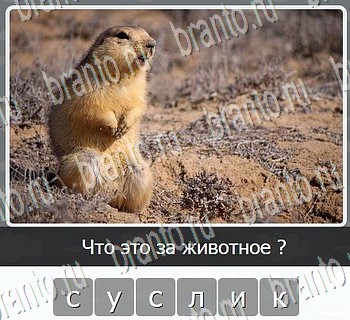 Игры разума ВКонтакте - ответы к игре