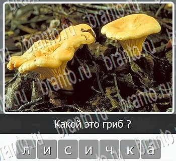 Игры разума ВКонтакте - ответы к игре