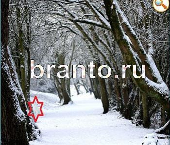 Ищи зверушек - ответы на игру