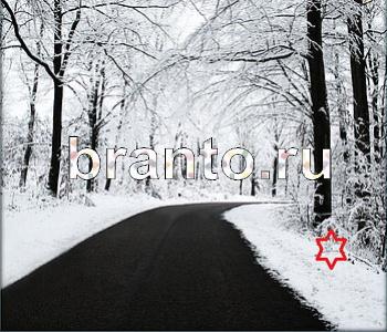 Ищи зверушек - ответы на игру