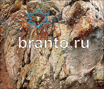 Ищи зверушек - ответы на игру