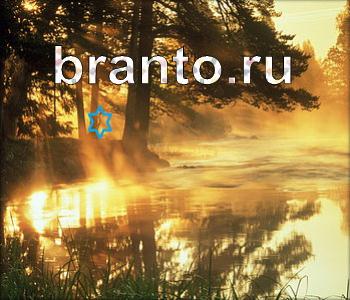 Ищи зверушек - ответы на игру