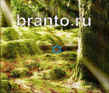 Ищи зверушек - ответы на игру