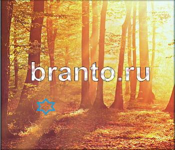 Ищи зверушек - ответы на игру