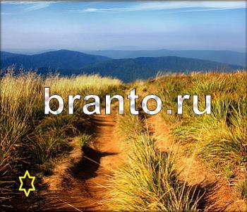 Ищи зверушек - ответы на игру