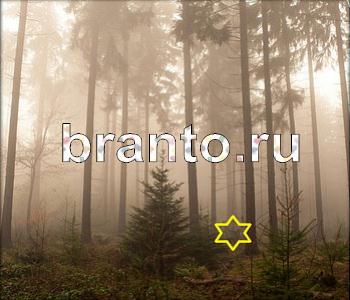 Ищи зверушек - ответы на игру