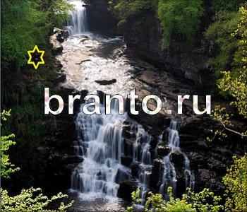 Ищи зверушек - ответы на игру