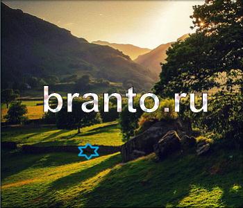Ищи зверушек - ответы на игру