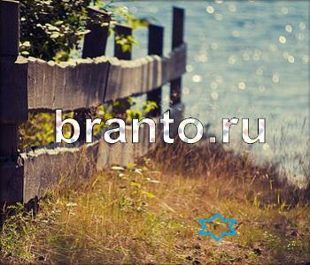 Ищи зверушек - ответы на игру