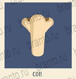 Кот Ребус - ответы к игре: Кухня и Ванная