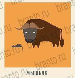 Кот Ребус - ответы к игре: Кухня и Ванная