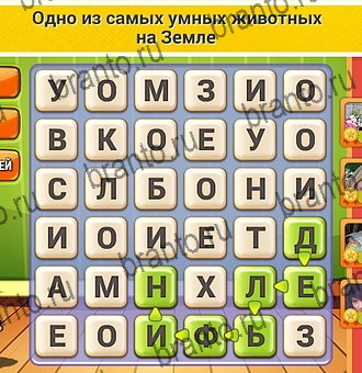 Игра Кот Словоплёт в Одноклассниках - ответы
