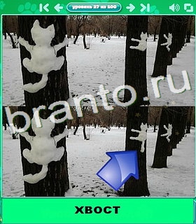 "Котики" - ответы на игру в Одноклассниках, Фотострана