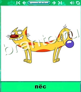 "Котики" - ответы на игру в Одноклассниках, Фотострана