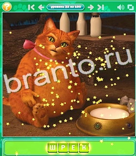 "Котики" - ответы на игру в Одноклассниках, Фотострана