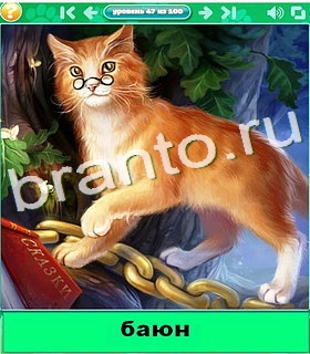 "Котики" - ответы на игру в Одноклассниках, Фотострана