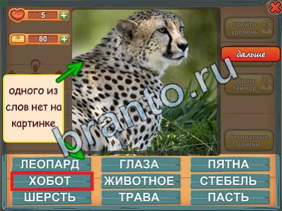 Лишнее слово - ответы на игру