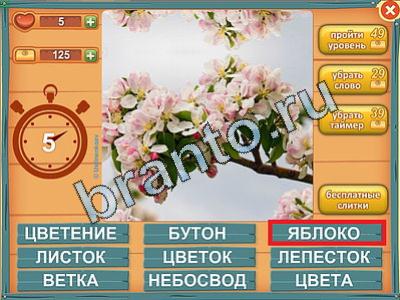 Лишнее слово - ответы на игру
