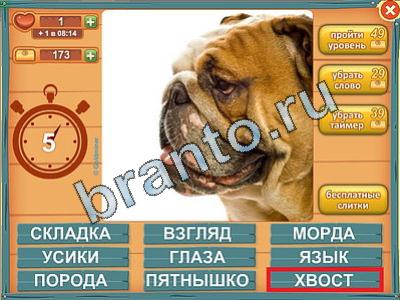 Лишнее слово - ответы на игру