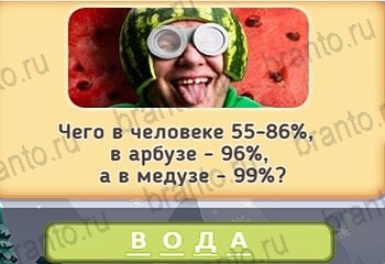 Игра Маша и три медведя - ответы на все уровни