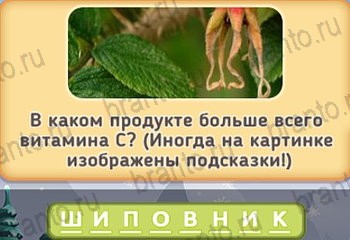 Игра Маша и три медведя - ответы на все уровни
