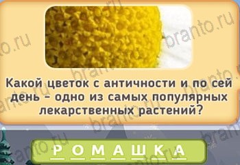 Игра Маша и три медведя - ответы на все уровни