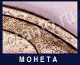 Что под микроскопом - ответы на все уровни игры