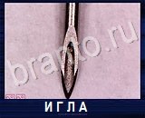 Что под микроскопом - ответы на все уровни игры