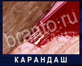 Что под микроскопом - ответы на все уровни игры