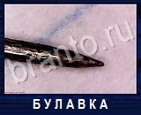 Что под микроскопом - ответы на все уровни игры