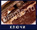 Что под микроскопом - ответы на все уровни игры