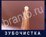 Что под микроскопом - ответы на все уровни игры