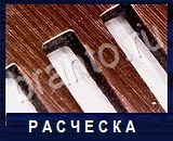 Что под микроскопом - ответы на все уровни игры