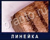 Что под микроскопом - ответы на все уровни игры