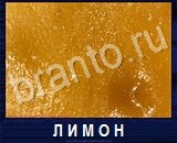 Что под микроскопом - ответы на все уровни игры