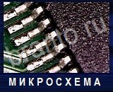 Что под микроскопом - ответы на все уровни игры
