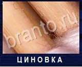 Что под микроскопом - ответы на все уровни игры