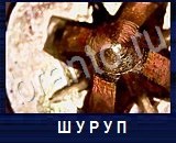 Что под микроскопом - ответы на все уровни игры