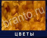 Что под микроскопом - ответы на все уровни игры