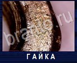 Что под микроскопом - ответы на все уровни игры