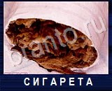 Что под микроскопом - ответы на все уровни игры