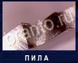 Что под микроскопом - ответы на все уровни игры