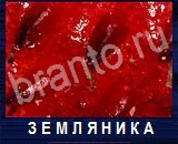 Что под микроскопом - ответы на все уровни игры